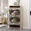 Hitow Tipping Shoe Cabinet Woodgrain Finish 3 Drawer Mirrored Doors - 2 of 4