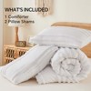 BAGOKIE Tufted Striped Bed Set with Comforter and Pillow Sham - 4 of 4