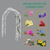 Metal Garden Arch Assemble Freely with 8 Styles Garden Arbor Trellis Climbing Plants Outdoor Arch Wedding Arch Party Events Archway Cream White - 4 of 4