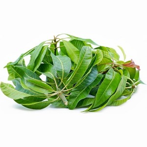 Rani Brand Authentic Indian Foods | Fresh Leaves - 1 of 1