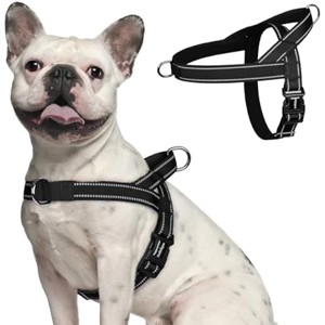 rabbitgoo Dog Harness No Pull, Quick Fit for Medium Sized Dog , No Choke Escape Proof for Walking Training, Blue M - 1 of 1