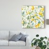 Trademark Fine Art -Danhui Nai 'Floursack Lemon Pattern Ia' Canvas Art - 3 of 4