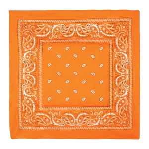 Paisley One Dozen Cowboy Bandanas (Dark Brown, 22 X 22 in