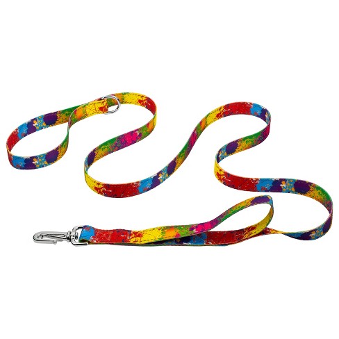 Country Brook Petz Paint Splatter Deluxe Reflective Dog Leash (6 Foot, 1  Inch Wide) : Target