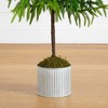 Nearly Natural 3' Artificial Real Touch Norfolk Island Pine in Metal Tin Planter with Natural Look - 4 of 4