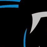 carolina panthers