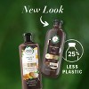 Herbal Essences Coconut Oil Hydrating Shampoo, For Dry Hair - 13.5 fl oz - image 3 of 4