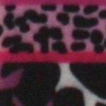 multi cheetah