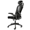 GlasFlength Task and Office Chairs High Back Ergonomic Chair with Adjustable Lumbar Support and Headrest for Home Office, Black, 24.48"*10.31"*18.97" - 4 of 4