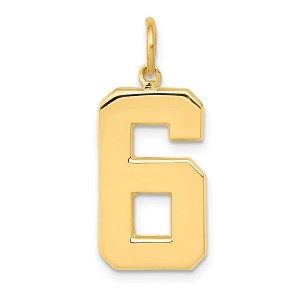 Black Bow Jewelry 14k Yellow Gold, Athletic Collection, Large Polished Number 6 Pendant - 1 of 4