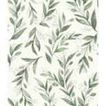 RoomMates Olive Branch Olive Magnolia Home Wallpaper Green