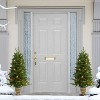Puleo Set of 2 Artificial Battery-Operated Pre-Lit Potted Oklahoma Fir Trees - 4 of 4