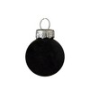 Northlight 24ct Shiny and Matte Black Glass Ball Christmas Ornaments 1" (25mm) - 4 of 4