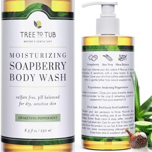 Tree To Tub Peppermint Body Wash for Sensitive Skin and Dry Skin - pH Balanced, Hydrating, Sulfate Free, Vegan Body Soap with Organic Aloe Vera - 1 of 4