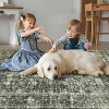 Hallway Runner Rug Machine Washable Vintage Rug Indoor Carpet - 4 of 4