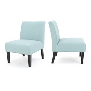 Kassi Accent Chair - Light Blue (Set of 2) - Christopher Knight Home