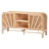 bali & pari Carabella Natural Rattan 2 Door Storage Cabinet Natural: Fixed Shelves, No Assembly Required - 4 of 4