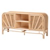 bali & pari Carabella Natural Rattan 2 Door Storage Cabinet Natural: Fixed Shelves, No Assembly Required - image 2 of 4