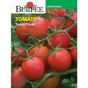 Burpee Tomato Tasty Treat: Full Sun Annual Vegetable Seeds, 65 Days to Maturity, 24-12" Plant Height - 1 of 3