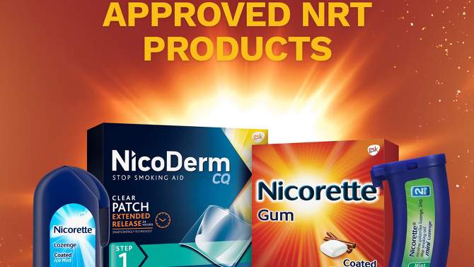 Nicorette 2mg Stop Smoking Aid Nicotine Gum - Cinnamon Surge - 160ct, 2 of 10, play video