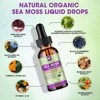 B Beworth Sea Moss Liquid Drops with Soursop Bitters - Multimineral Seamoss Supplement Support Antioxidant, Immune, Gut Health - 2 Fl.oz - 4 of 4