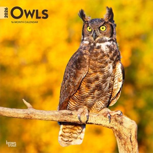 BrownTrout 2026 Owls 12"x24" Hanging Square Wall Calendar Plastic-Free - 1 of 4