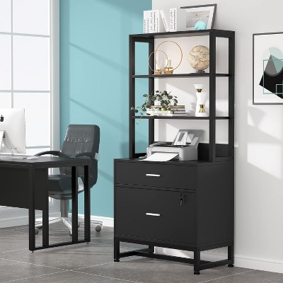 Black Vertical 2-Drawer Lockable File Cabinet with Shelves
