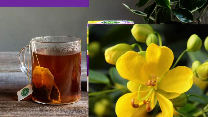 Traditional Medicinals Smooth Move Senna Tea - 16ct, 2 of 6, play video