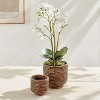 Plum & Post BURMA RATTAN CACHEPOTS SMALL, SET OF 2 - 3 of 4