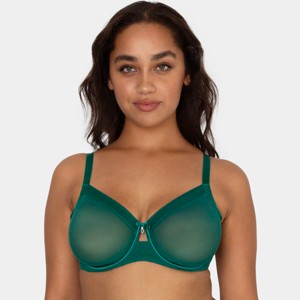 Curvy Couture Women'S Plus Size Sheer Mesh Full Coverage Unlined Underwire Bra - 1 of 4