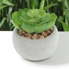 Unique Bargains Artificial Plants Plastic Green 2.95"x2.95"x2.76" 1Pc - 2 of 4