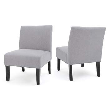 Set of 2 Kassi Accent Chair Light Gray - Christopher Knight Home