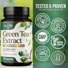 Green Tea Extract, Natural Fat Burn & Weight Loss Supplement 1000mg EGCG Capsule - 240 Capsules By PureTea - 3 of 4