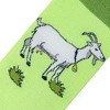 Crazy Socks, Funny Animal Crew Socks, Fun Colorful Barn, Zoo Prints, Assorted - 4 of 4