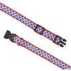 The Worthy Dog Daisies Dog Collar - 4 of 4