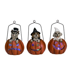 Transpac Halloween Light Up Dog in Jack-O-Lantern Set of 2 Decorative Figurines for Indoor Home Decor and Gifts - 1 of 1