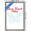 Trends International Stone Temple Pilots - Butterfly Framed Wall Poster Prints - 3 of 4
