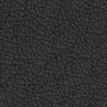 new england patriots