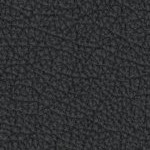 new england patriots