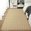 Modern Braided Printed Area Rug Farmhouse Indoor Carpet Low Pile Stain-Resistant Rugs Living Room Bedroom - 2 of 4