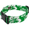 Country Brook Petz HossFit Jr Wide Deluxe Dog Collar - Summer Breeze Collection - 4 of 4