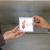 Pavilion Gift Company - Cocktail Buddy - 4mm Sterling Silver Cubic Zirconia Stud Earrings - Earrings - 4 of 4