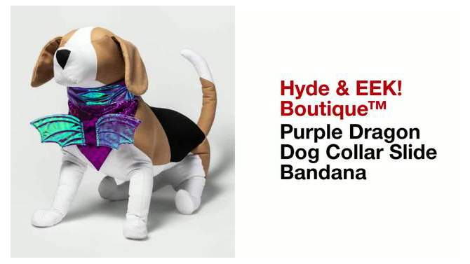 Halloween Purple Dragon Dog Collar Slide Bandana - Hyde &#38; EEK! Boutique&#8482;, 2 of 11, play video