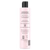 NOU No Strip Sulfate Free Shampoo, For Curly & Coily Hair, 10.1 Fl. Oz - 3 of 4