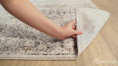 Geelbroek Ivory and Tan Hand-knotted Synthetic Area Rug