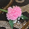 Floral Home 5" Pick Long Pink Carnation Pick - 100-Piece - 4 of 4