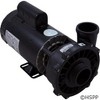 Waterway Plastics 3721621-1D Executive 56 Frame 4 Horsepower Spa Pump, 230-Volts - 3 of 4