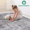 Kumasinova Stain-Resistant Area Rug, Non-Shedding Door Mat,Kid & Pet-Friendly, Abstract Area Rug for Living Room, Latex-Free Cotton Backing - 3 of 4