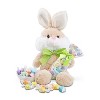 Alder Creek Gift Baskets Hoppy Easter Bunny Plush - 2 of 3
