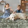 Hallway Runner Rug Machine Washable Vintage Rug Indoor Carpet - 4 of 4